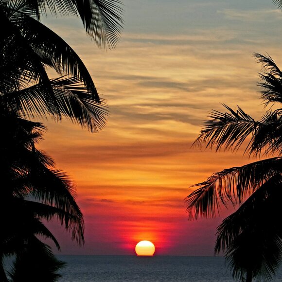 Meet your Posher, Kelly - Picture 1 of 1